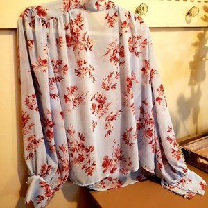 Beautiful Sheer Blue Red Rose Blouse